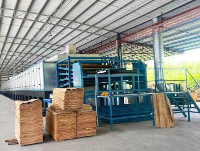 Hệ thống cho ăn tự động