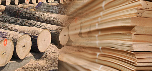 wood veneer making.png