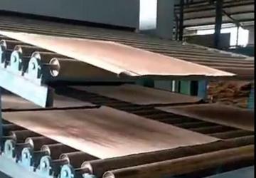 Indonesia Veneer Dryer 