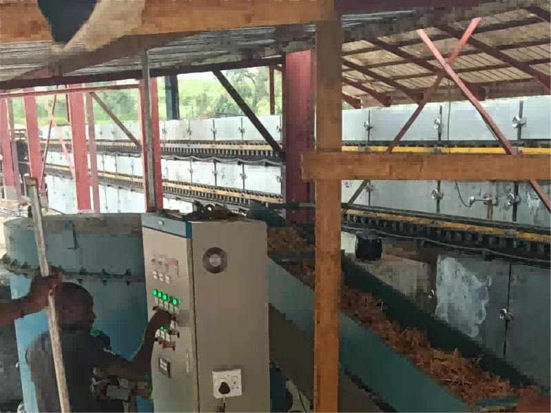 Wood Veneer Dryer in Zimbabwe.png
