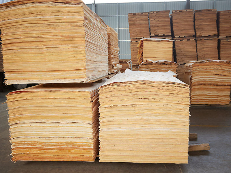 sấy tấm veneer sấy tấm veneer