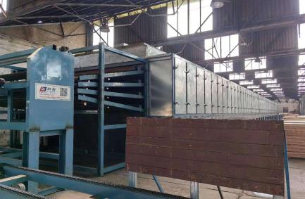 Instalación de secador de chapa de rodillos de 4 pisos en SA