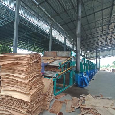  Máy sấy veneer