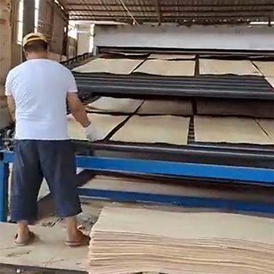 Машина для сушки шпона