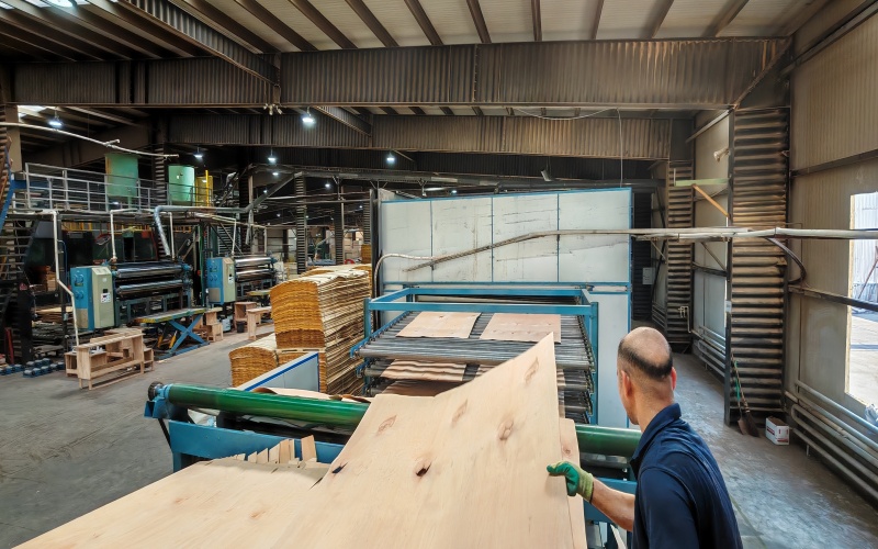 Automatic Veneer Loading