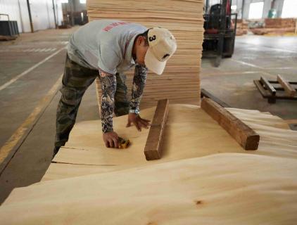 veneer industry