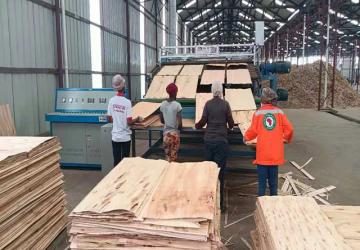 veneer dryer machine