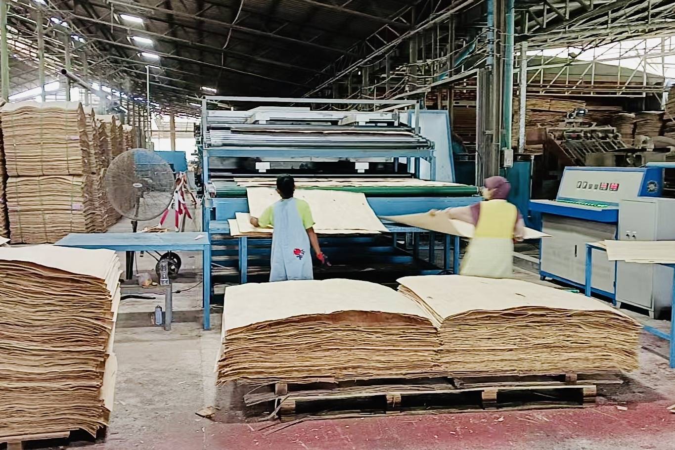 Máquina de secado de chapados
