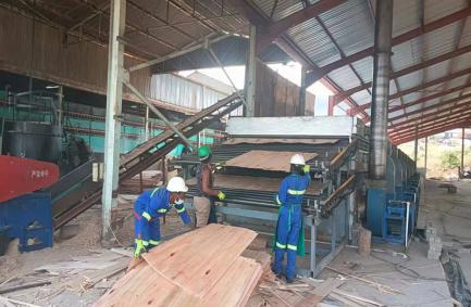 Máquina secadora de chapa