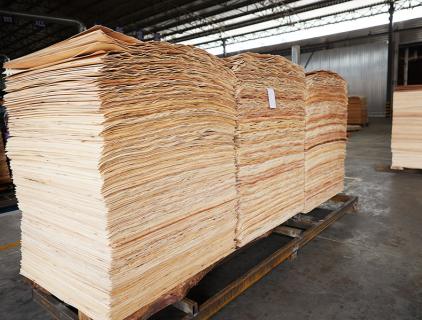 veneer sheet drying 