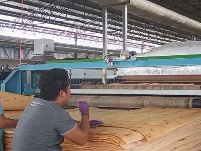 The Dryer has been installed in 2023 and operating well now.