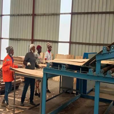 Ván ép veneer sấy khô