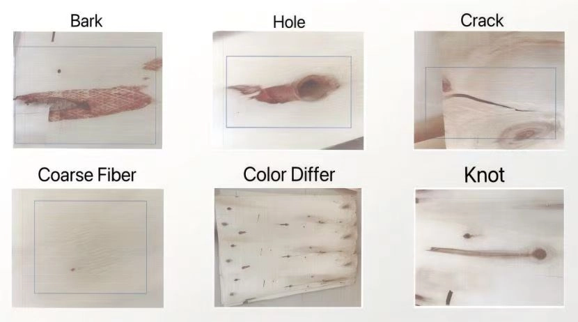 veneer grading veneer grading