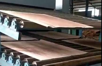 Сушилка для шпона в Индонезии