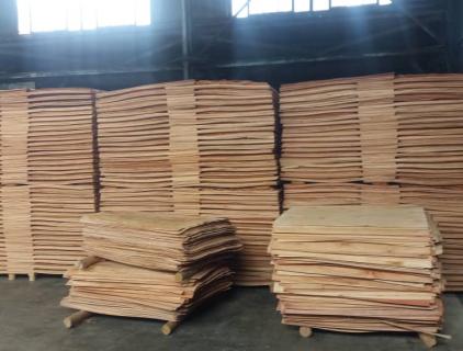 pine veneer drying
