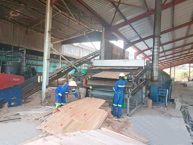 Roller Veneer Dryer in Congo.jpg