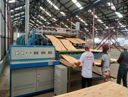 Veneer Dryer Machine