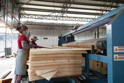  industrial wood dryer