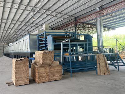 4-Deck Dryer Machine