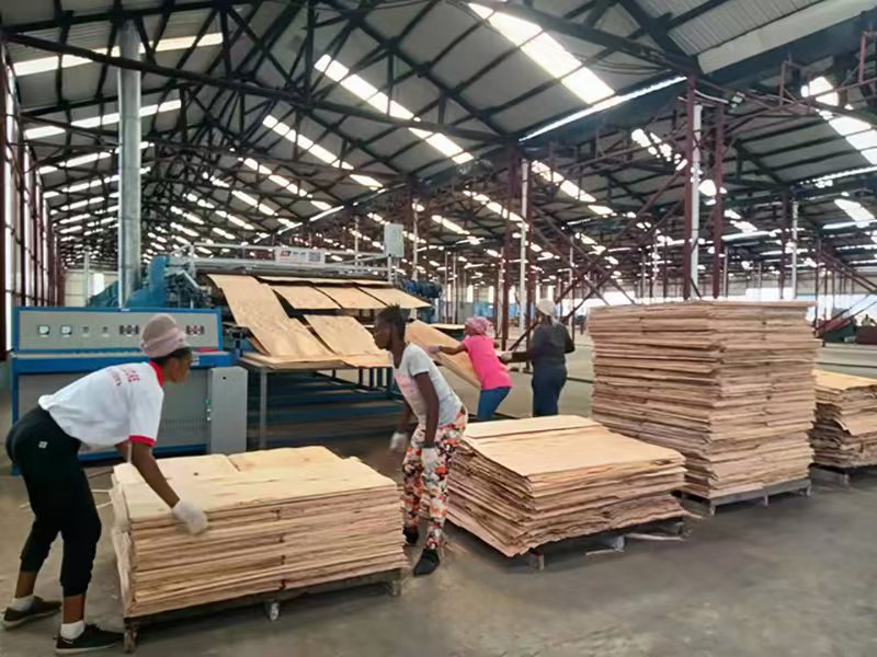 Production de placages