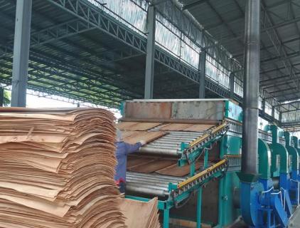 Veneer Dryer Machine