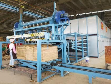 automatic feeding machine