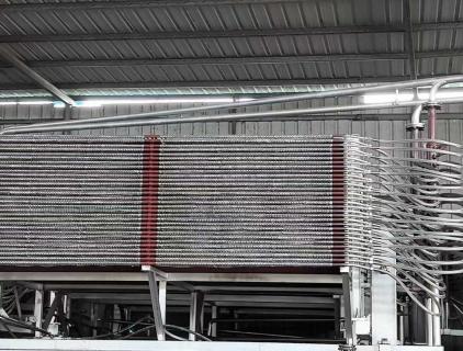 press veneer dryer