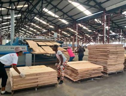 roller veneer dryer