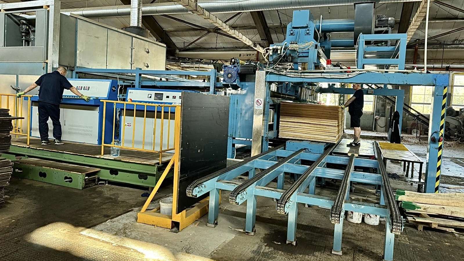 secador de folheado de bétula