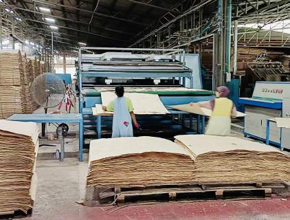 VENEER DRYER