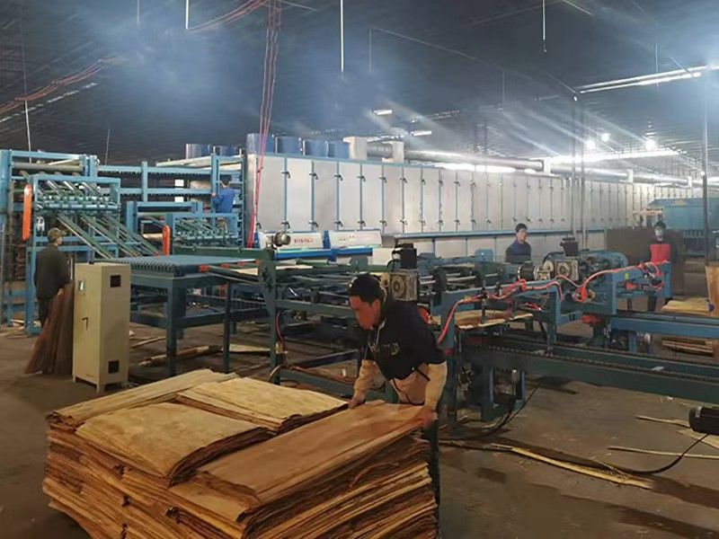 máy sấy gỗ veneer.jpg