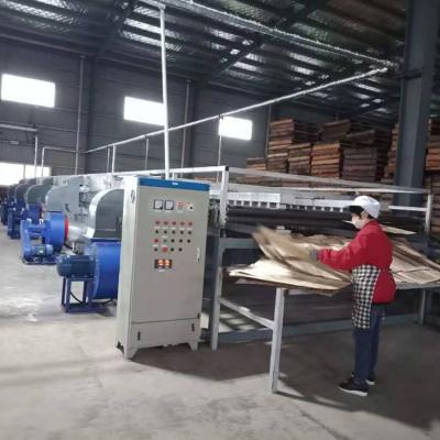 Máy sấy veneer