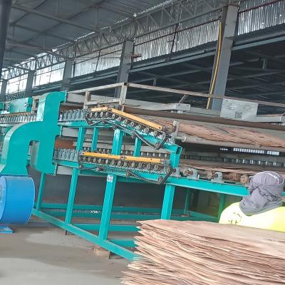 Máy sấy Veneer 2 lớp 