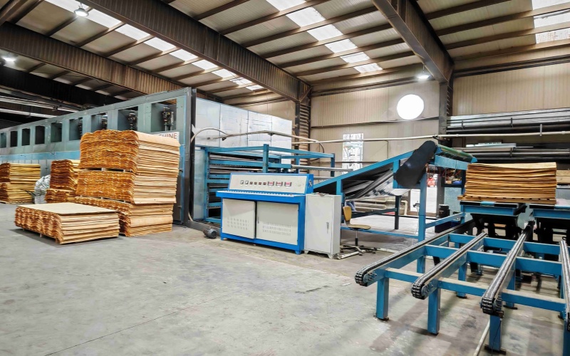 Automatic Veneer Collection